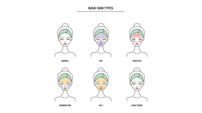 Basic skin types chart line vector illustration.