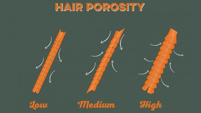 Hair porosity