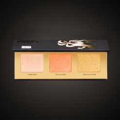 Coming 2 America Highlighter palette