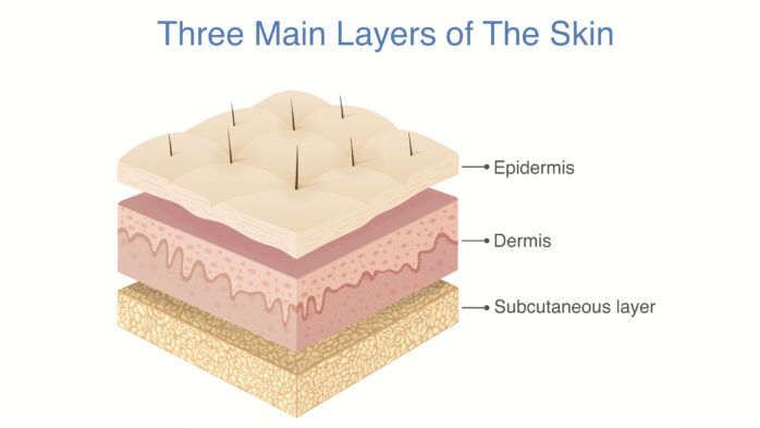 What are the three skin barriers